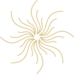 Miss La ... Tvoj moment