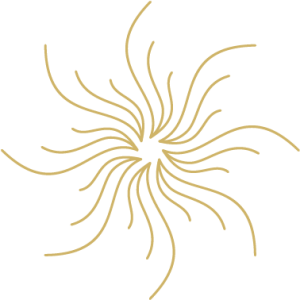 Miss La ... Tvoj moment